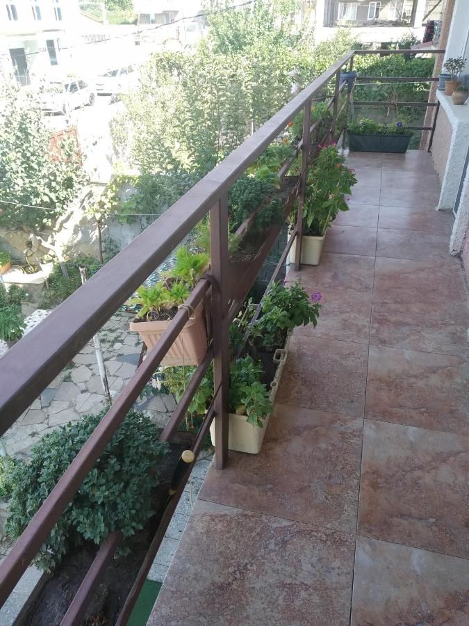 Гостевой дом Digomi Guesthouse Тбилиси-5